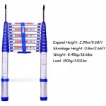Blue telescopic ladder with hook