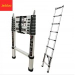 Carroof telescopic ladder