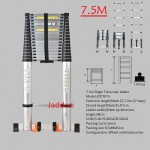 Single Telescopic ladder