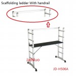 Scaffolding ladder