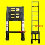 Black Single Ladder