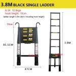 Black Single Ladder with Hook
