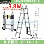 3.8m 2 in 1 telescopic ladder