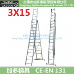 Extension Ladder 3X15