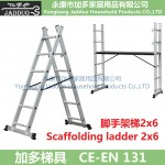 Scaffolding ladder 2X6 steps 