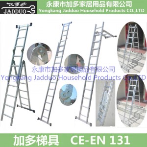 Hinged Combination Ladder