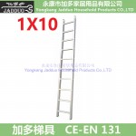 Extension ladder 1X10
